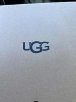 Ugg Boots Stiefel Leder Ashton Short Kreis Pinneberg - Elmshorn Vorschau
