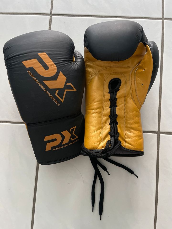 Boxhandschuhe 10 oz in Nürnberg (Mittelfr)