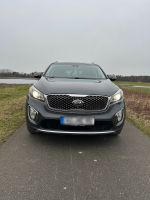 Kia Sorento Platinum 2.2 CRDI AWD Niedersachsen - Rodewald Vorschau