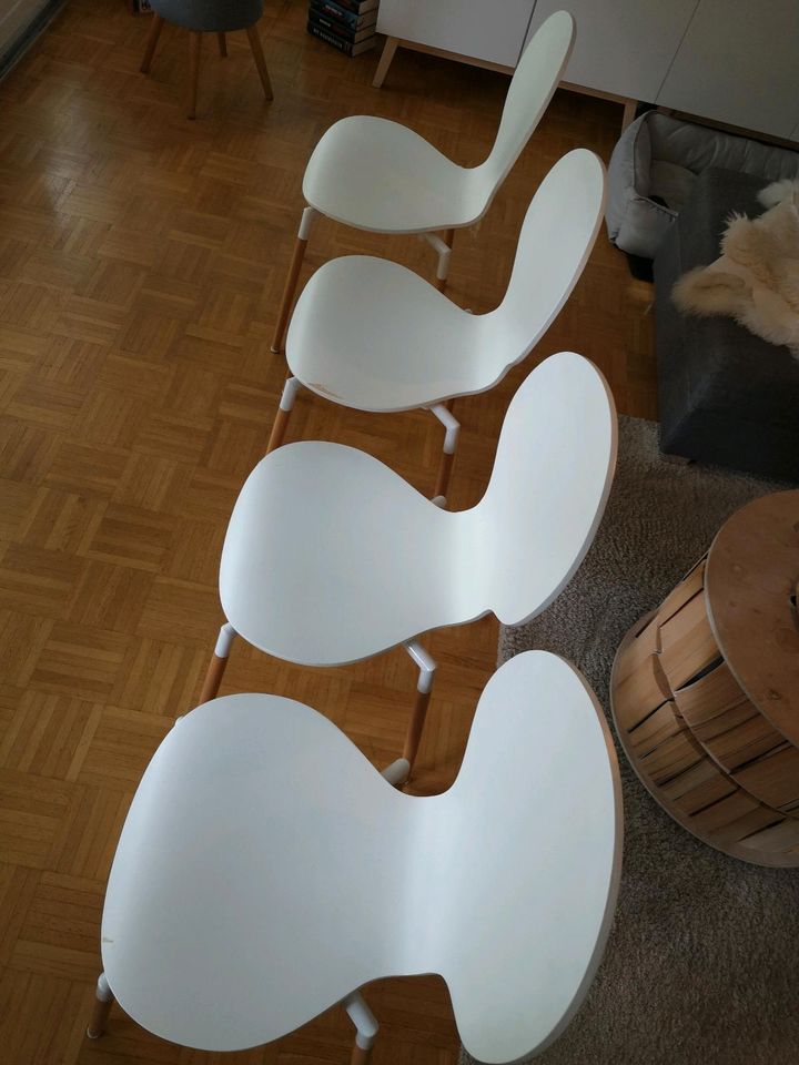 Weiße Esszimmer Stühle, Holz, Scani Design in München