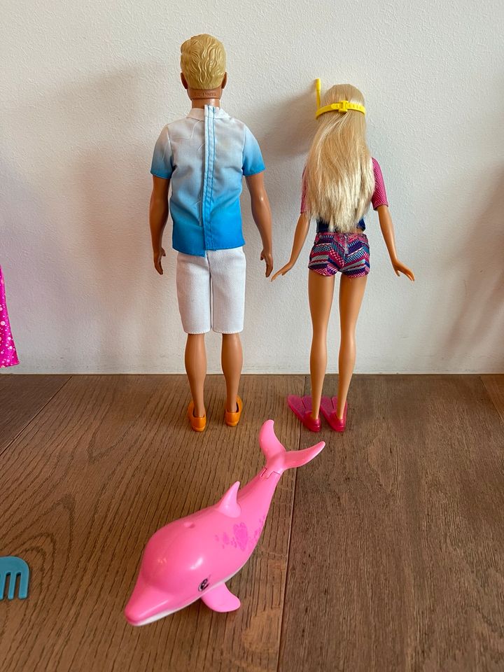 Barbie 9 Puppen Kiste Hocker Disney Princess +Pferd Delfin Hund in Saarbrücken