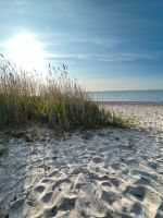 Ostsee-Urlaub in einer Ferienwohnung ab * Nordwestmecklenburg - Landkreis - Kalkhorst Vorschau