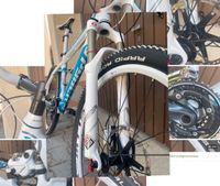 Mountainbike Hardtail XT/Reba RL (no Cube Canyon Giant Focus) Sachsen - Hoyerswerda Vorschau