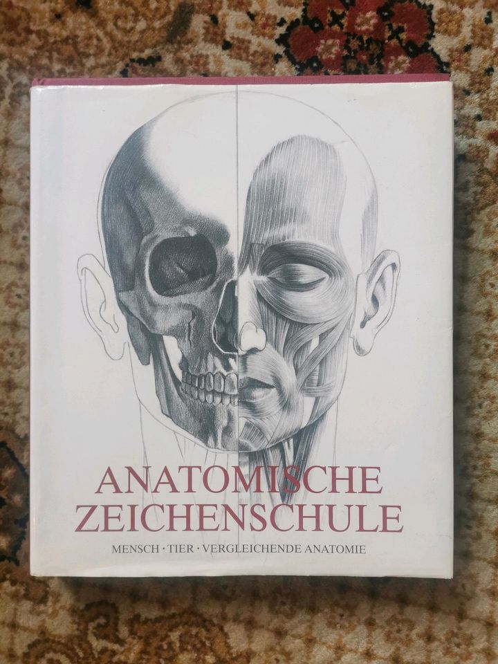Anatomische Zeichenschule Zeichnen Anatomie Lehrbuch in Berlin