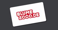 Blume2000 Gutschein 15% Wandsbek - Gartenstadt Vorschau