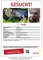 Kater gesucht Niedersachsen - Wietze Vorschau