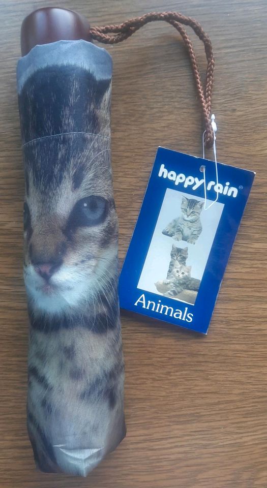 Happy Rain Taschenregenschirm Baby Cats grau Neu in Hünfelden