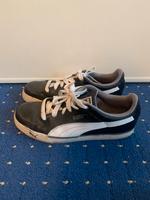 Puma Herren Schuhe Berlin - Pankow Vorschau