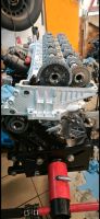 N57D30B BMW 435D xDrive Motor - siehe Beschreibung Hessen - Biedenkopf Vorschau