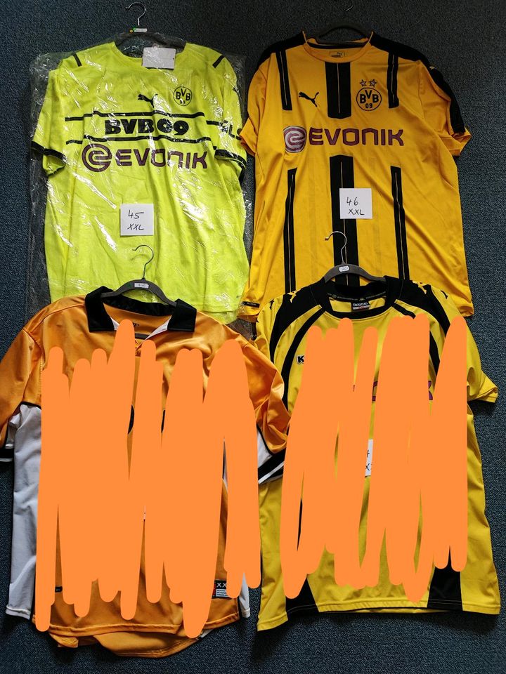 BVB BORUSSIA DORTMUND SAMMLERAUIFLÖSUNG TRIKOT XXL-3XL in Heinbockel