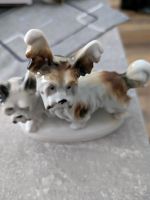 Porzellan Hunde (Bulldogge U.  Havanese Nordrhein-Westfalen - Dorsten Vorschau