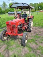 IHC McCormick D432 Sachsen-Anhalt - Gardelegen   Vorschau