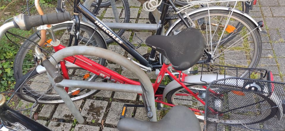 Fahrrad Damen in Köln