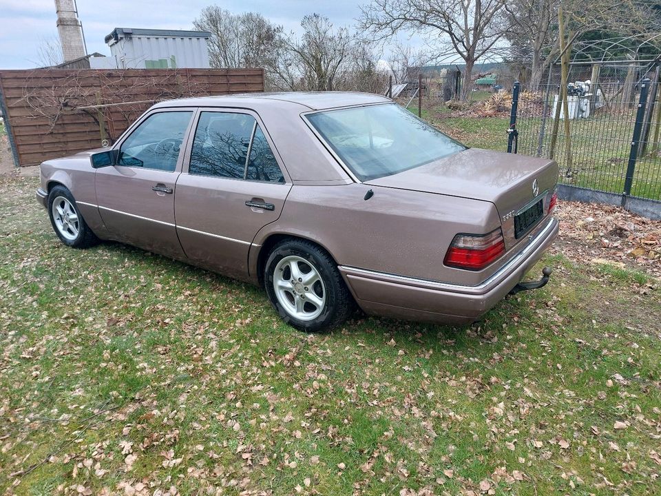 Verkaufe Mercedes w124 E220 in Groß Kreutz