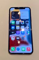 iPhone XS 256 GB Baden-Württemberg - Frankenhardt Vorschau