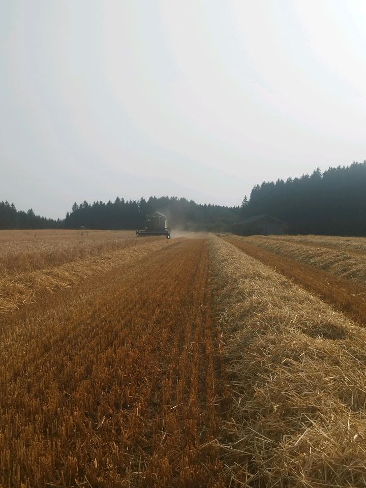 Grünland Acker Ackerland Weide Wiese Bio Gülle Ackerstatus in Kaufbeuren