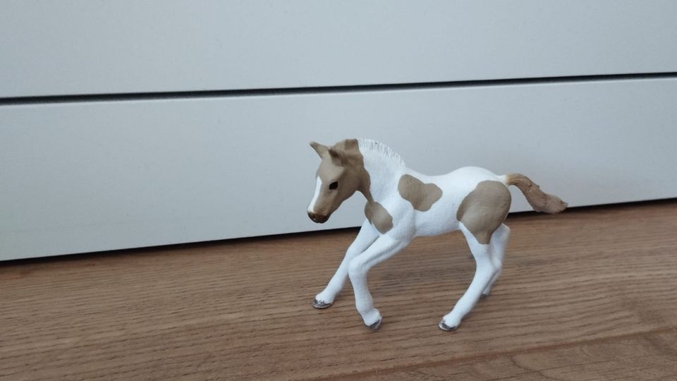 SCHLEICH Pferde Set und Einzelpferde in Rödermark