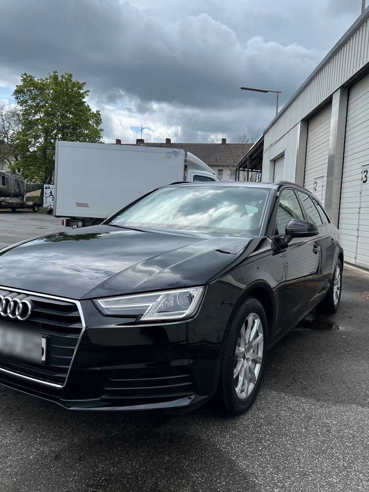 Audi A4 B9 2.0 TFSI Ultra in Gudensberg