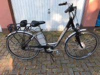 E-Bike Pegasus & Depp City 2 X Bike 1.Preis Niedersachsen - Delmenhorst Vorschau