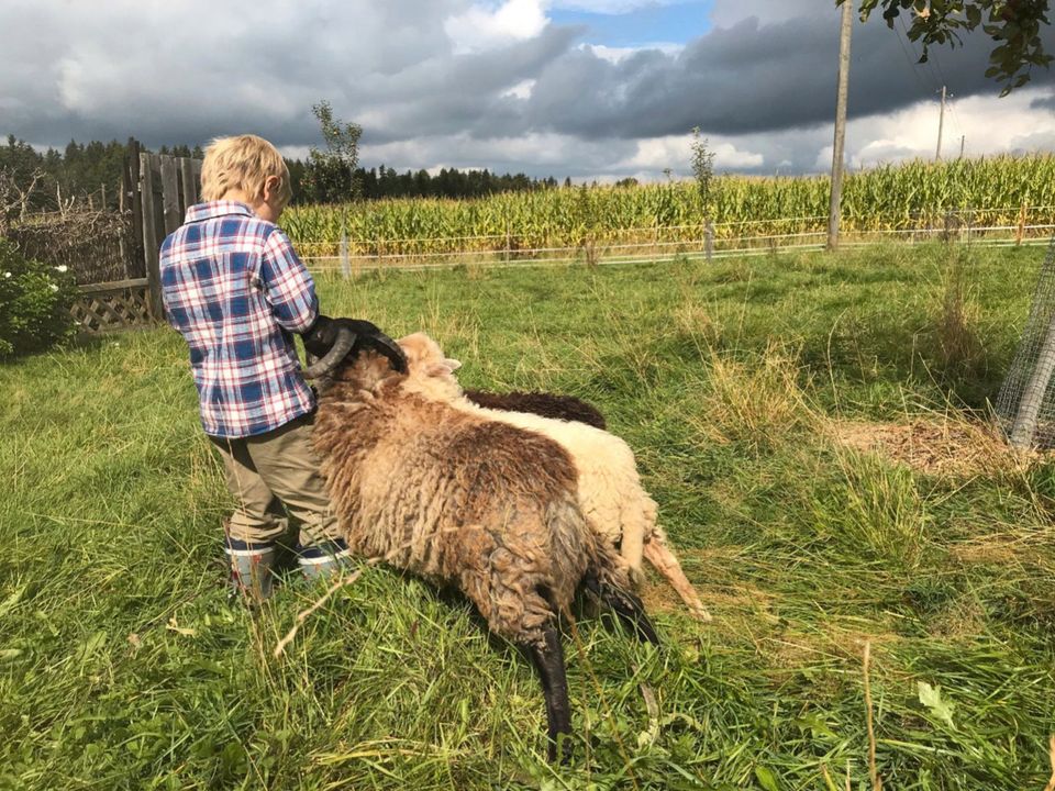 Urlaub im Allgäu in der Natur, Ferienwohnung auf dem Eselhof in Bad Grönenbach