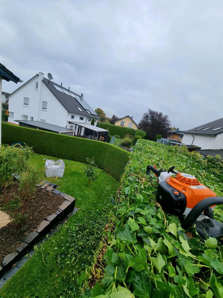 Hecken schneiden / Sträucher schneiden/ Rückschnitt/ Häckseln in Neustadt (Wied)