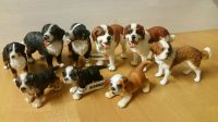 9x Schleich Berner Sennen Hunde + Bernhardiner Figuren Sammlung Nordrhein-Westfalen - Drensteinfurt Vorschau