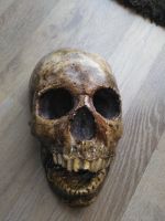 Totenschädel Skull Totenkopf Halloween Blumenthal - Farge Vorschau