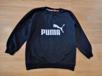 schöner Puma Pullover 134 Schleswig-Holstein - Kellinghusen Vorschau