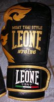 Leone 1947 Muay Thai Kampfhandschuhe, Boxhandschuhe Schleswig-Holstein - Neversdorf Vorschau