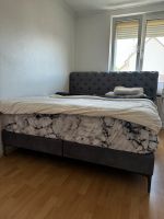 Boxspringbett 180x200m (grau) mit Matratze West - Sindlingen Vorschau