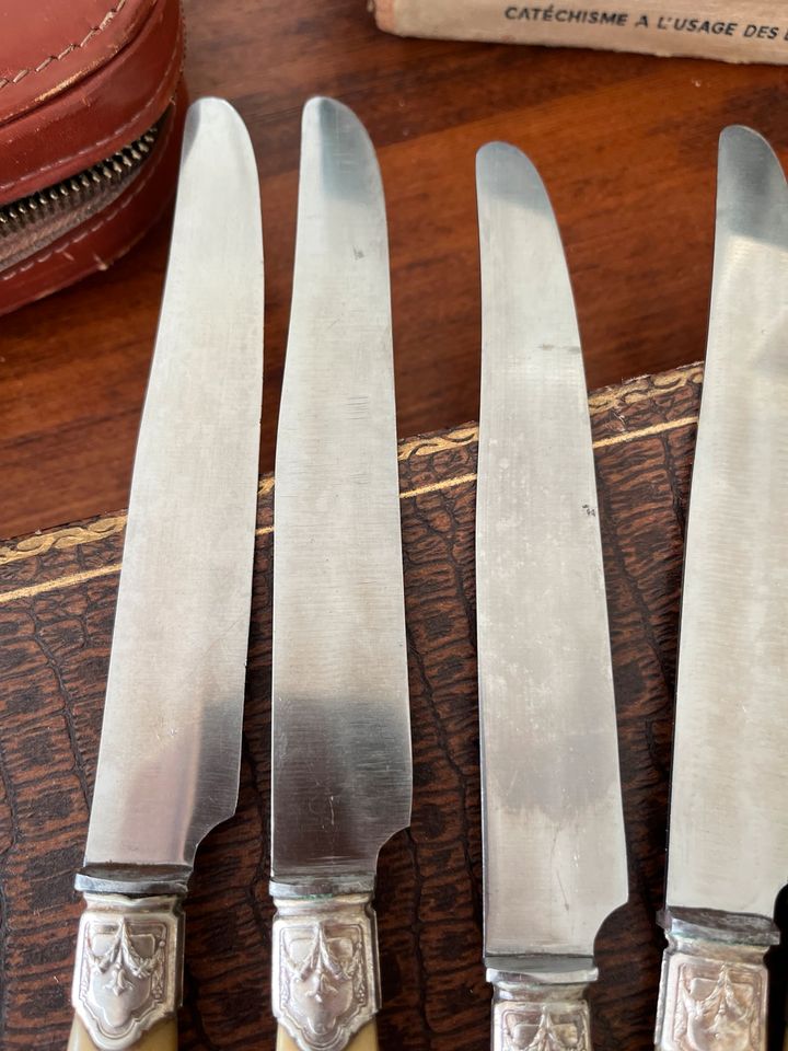 Konvolut alte Messer aus Frankreich Shabby chic in Scheidegg