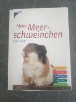 Meine Meerschweinchen, Peter Beck Hamburg-Mitte - Hamburg Wilhelmsburg Vorschau