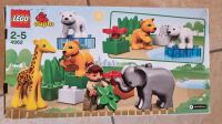 Lego Tierbabys Zoo 4962 Sachsen-Anhalt - Annaburg Vorschau