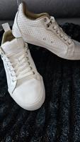 Leder Sneaker Converse Sachsen - Freital Vorschau