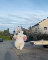 Aufblasbarer Bären Kostüm Maskottchen für Erwachsene Nordrhein-Westfalen - Lippstadt Vorschau