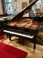 Flügel Konzertflügel Piano ,  212cm - PREISSENKUNG ! Berlin - Schöneberg Vorschau