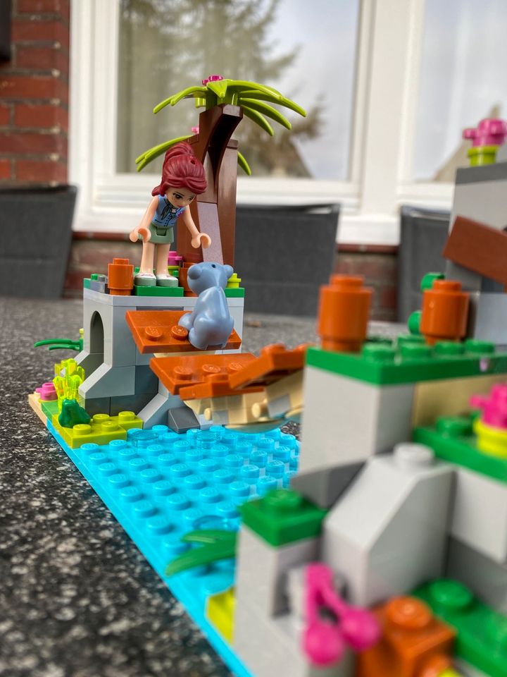 Lego Friends 41036 - Rettung auf der Dschungelbrücke in Centrum