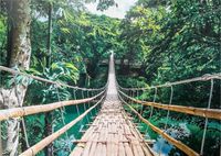 XXL LeinWandbild „Jungle Bridge“, Dschungel Brücke, 140x100 cm Nordrhein-Westfalen - Bottrop Vorschau