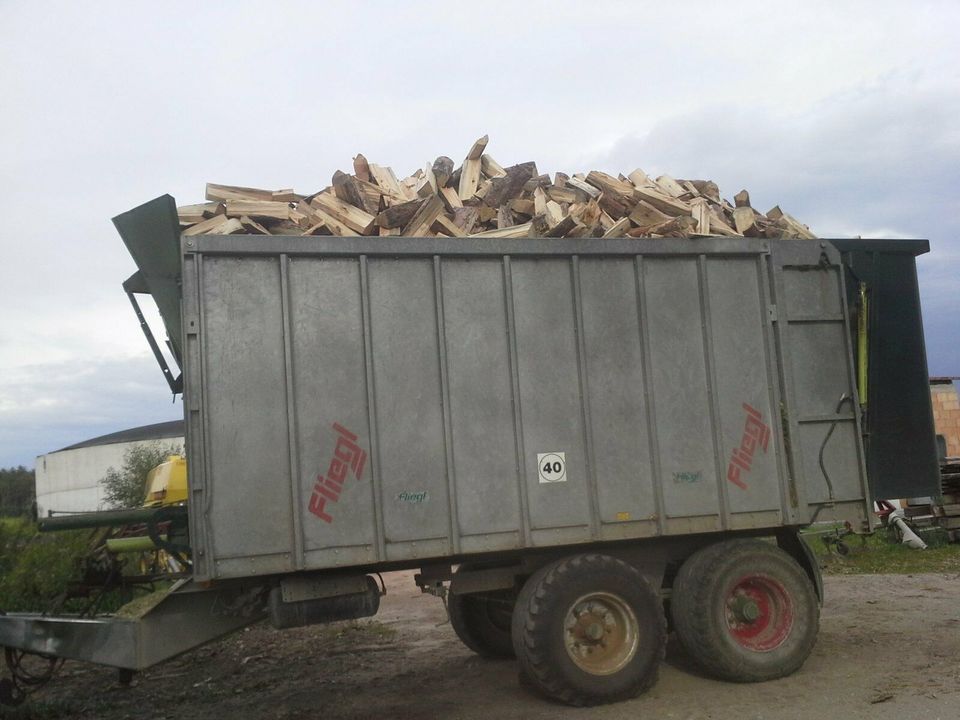 Brennholz Kiefer,Fichte / Buche/ Erle in Großhabersdorf