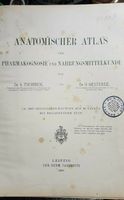 Anatomischer Atlas der Pharmakognosie Nahrunsmitkunde 1900 Nordrhein-Westfalen - Elsdorf Vorschau