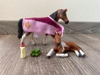 Schleich Pferd und Fohlen Set Brandenburg - Reichenow-Möglin Vorschau