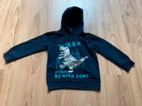 schönes Sweatshirt Hoodie Junge 110 Kabelsketal - Großkugel Vorschau