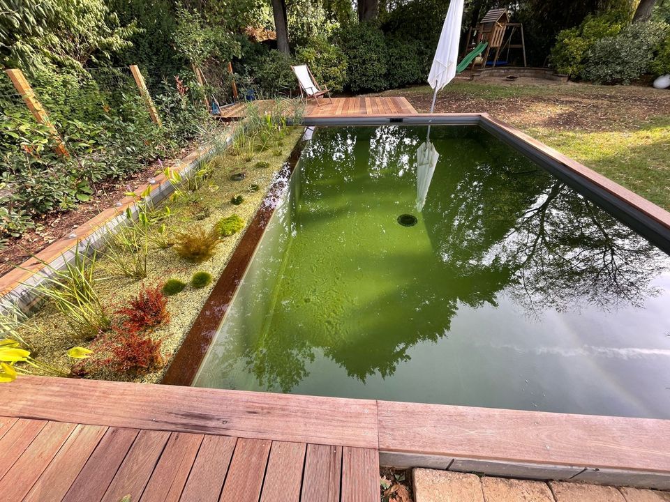 Teich Schwimmteich Trommelfilter Oase Teichfilter Teichreinigung in Dortmund