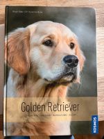 Golden Retriever von Birgit Rabe Bayern - Baldham Vorschau