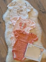 3er Set Bodys Disney Baby Minnie Mouse Gr. 80/86 Rheinland-Pfalz - Wolfstein Vorschau