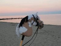 Hobby Horse Dream Baden-Württemberg - Edingen-Neckarhausen Vorschau