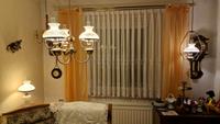 DDR Hängelampe Tischlampe Vintage Rarität Retro Antik Stube Sachsen - Burgstädt Vorschau