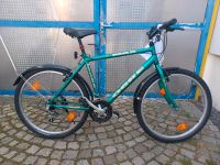 Jugendrad Schulrad Mountainbike 26 Zoll inspiziert Rheinland-Pfalz - Schifferstadt Vorschau
