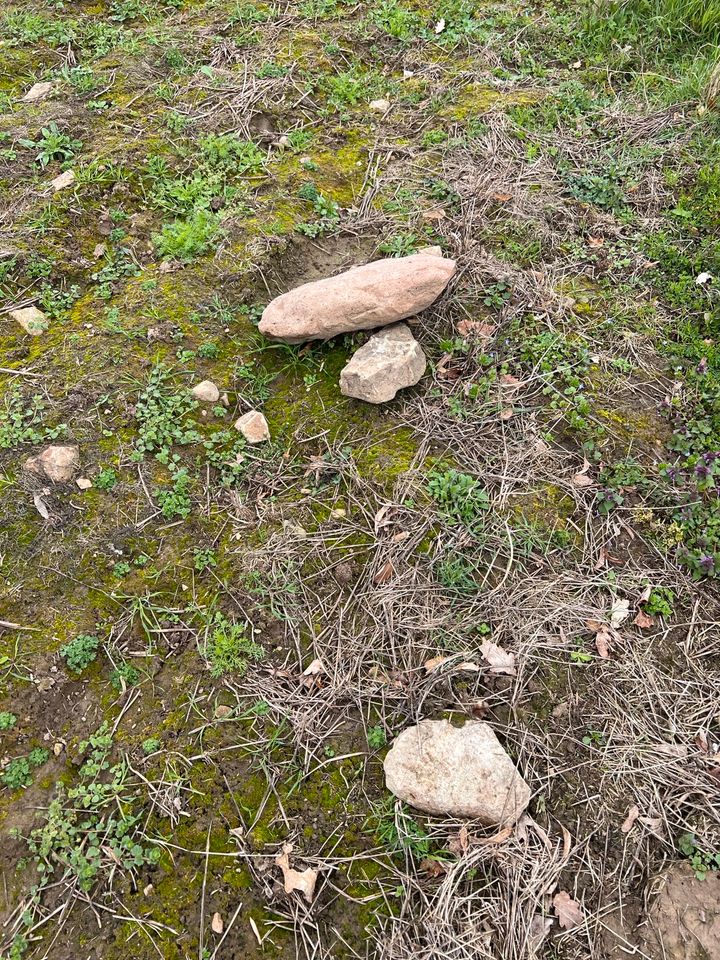 Ackerfräsen, Kartoffeln, Jetzt Sonderpreis für Herbst reservieren in Waldbröl