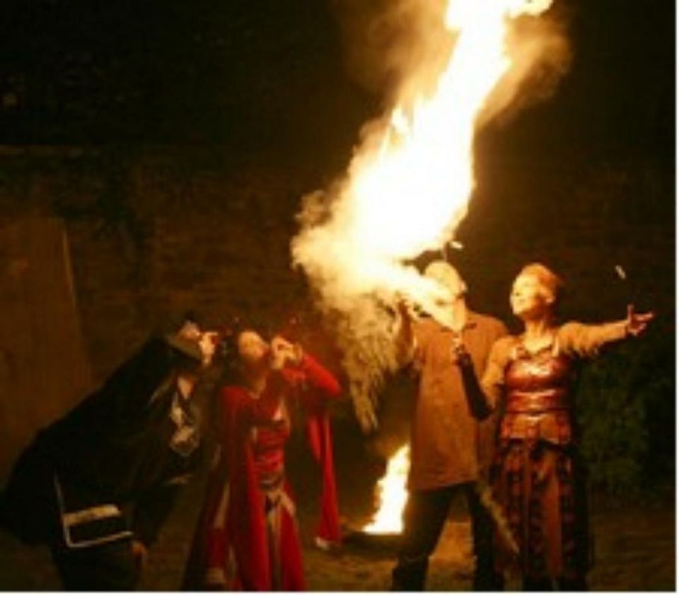 Feuershow zur Hochzeit / Hochzeitsfeier/ Hochzeitsfeuershow in Kaiserslautern